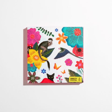 Pochette de 10 cartes de correspondance Henri Matisse • Boutique Amnesty  International