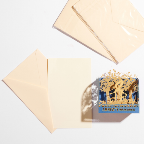 Pochette de 10 cartes de correspondance Henri Matisse • Boutique Amnesty  International