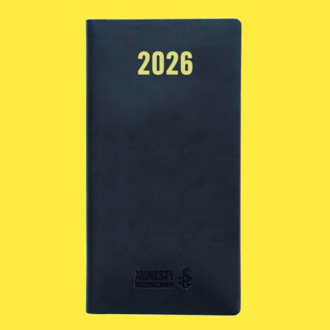 Agenda civil 2026