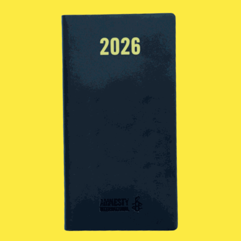 Agenda civil 2026