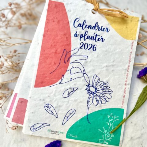 Calendrier à planter 2026 – Mains et fleurs
