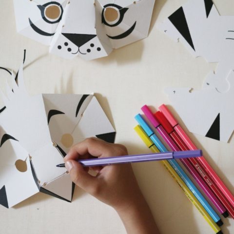 Kit créatifs - Masques de la jungle